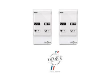 Lot de 2 télécommandes 4 fonctions LOTDIAG41ACK