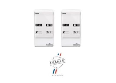 Lot de 2 télécommandes 4 fonctions LOTDIAG41ACK