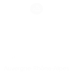 Logo Minalogic